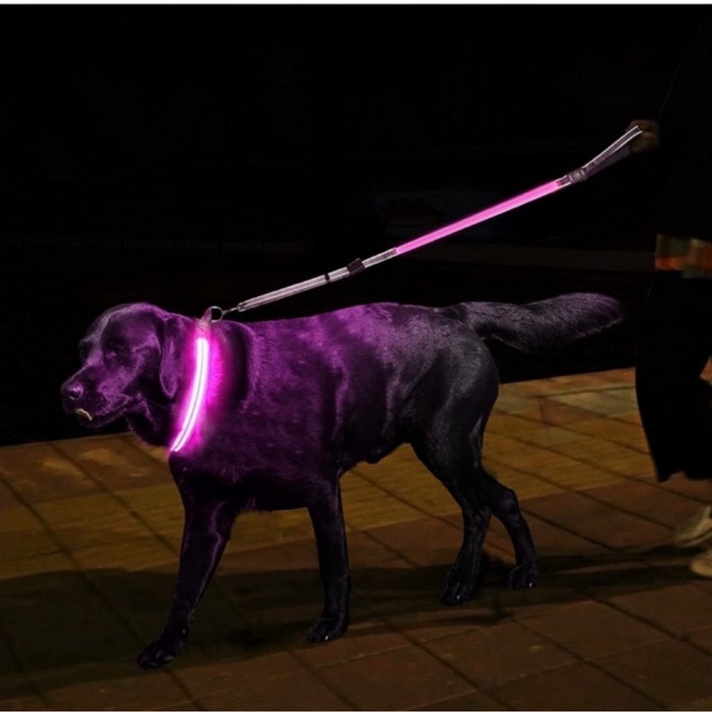 BLUE LIGHT UP DOG COLLAR LEASH SIZE SMALL